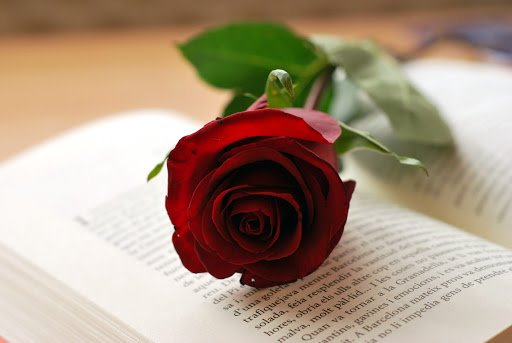 CELEBREM LA SETMANA DE SANT JORDI