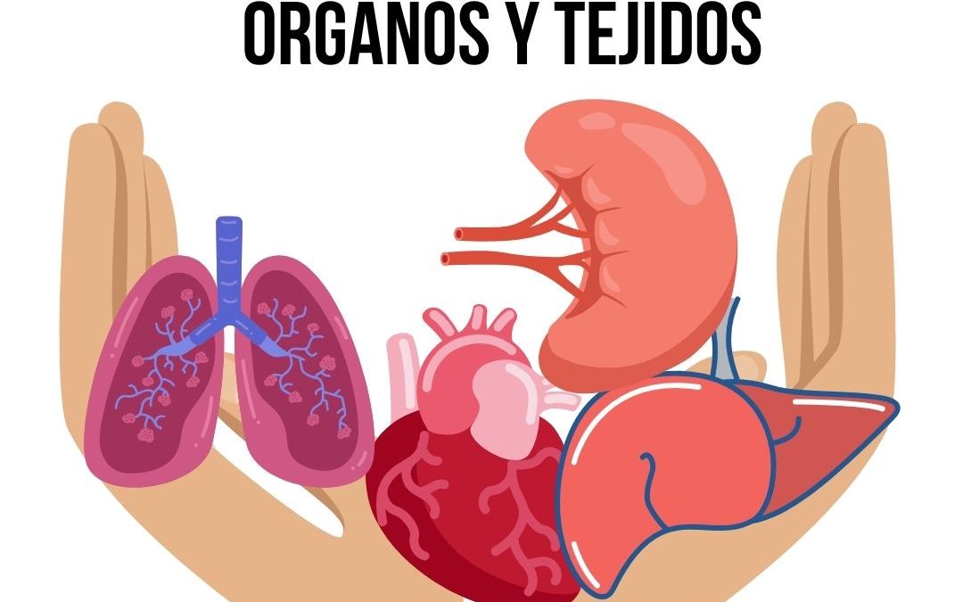 04 DE JUNIO 2025 DÍA DEL DONANTE