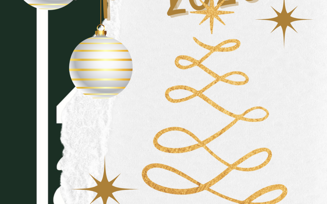 🎄Os deseamos unas felices fiestas!!!!✨️