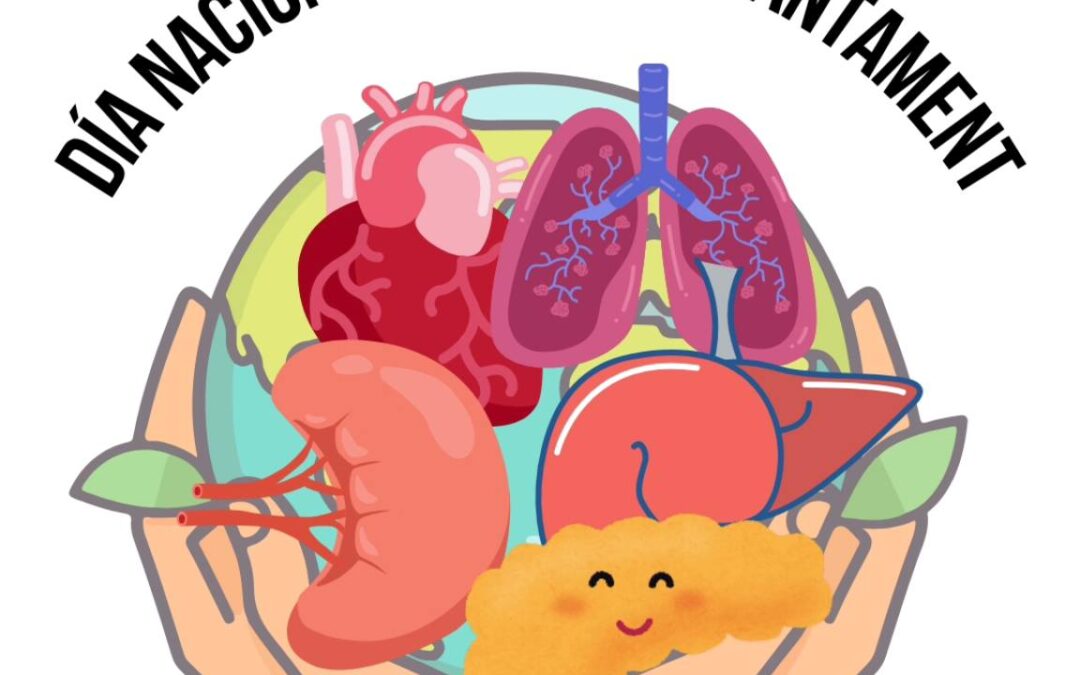 DÍA MUNDIAL DEL TRASPLANTE