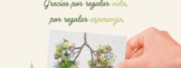Día Nacional del Donante de Órganos y Tejidos – 3 de junio